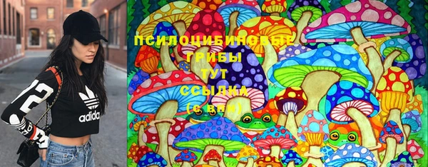 spice Аркадак