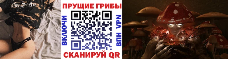 Галлюциногенные грибы Cubensis  Строитель 