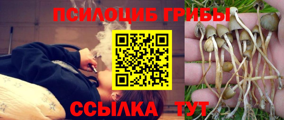 цена наркотик  Галлюциногенные грибы мицелий  Вход с VPN  Галлюциногенные грибы GOLDEN TEACHER  Строитель 